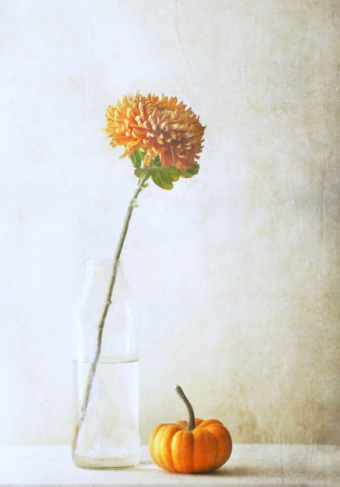  af Delphine Devos
