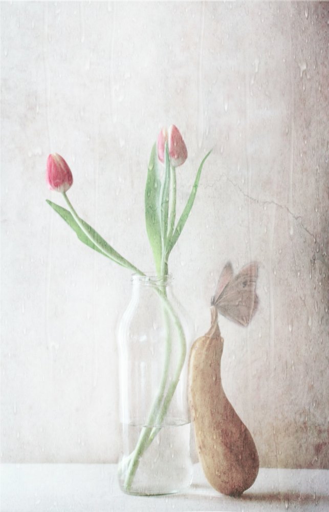  af Delphine Devos