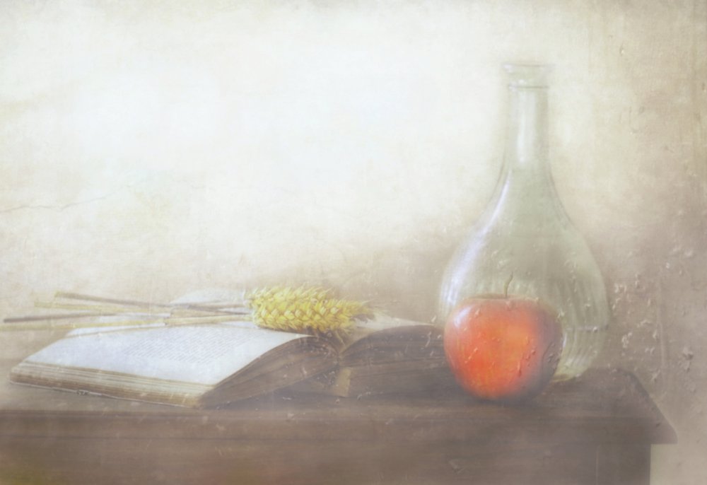  af Delphine Devos