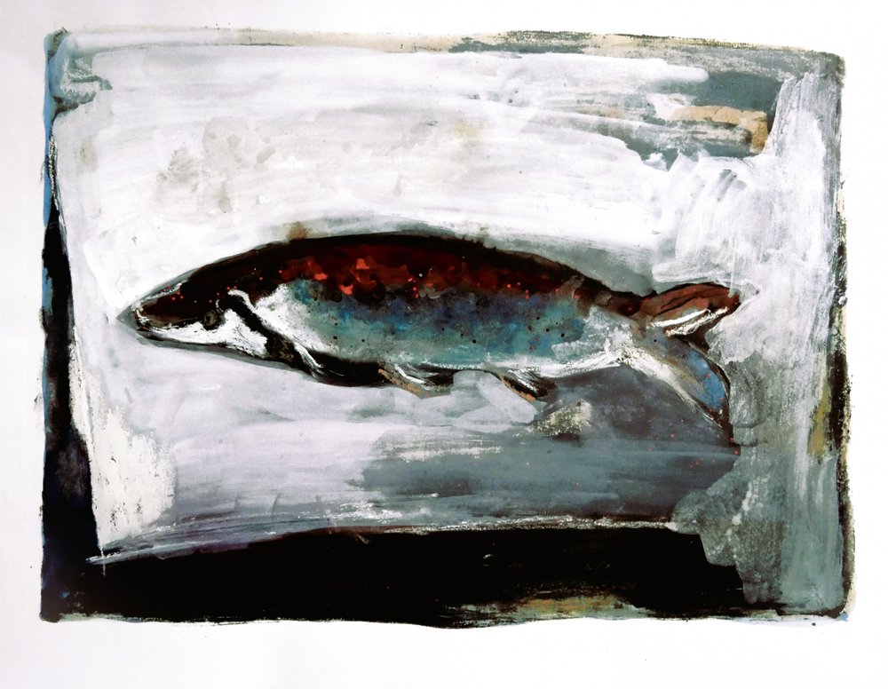 Fisk fra mørkt vand af Doris Schmitz