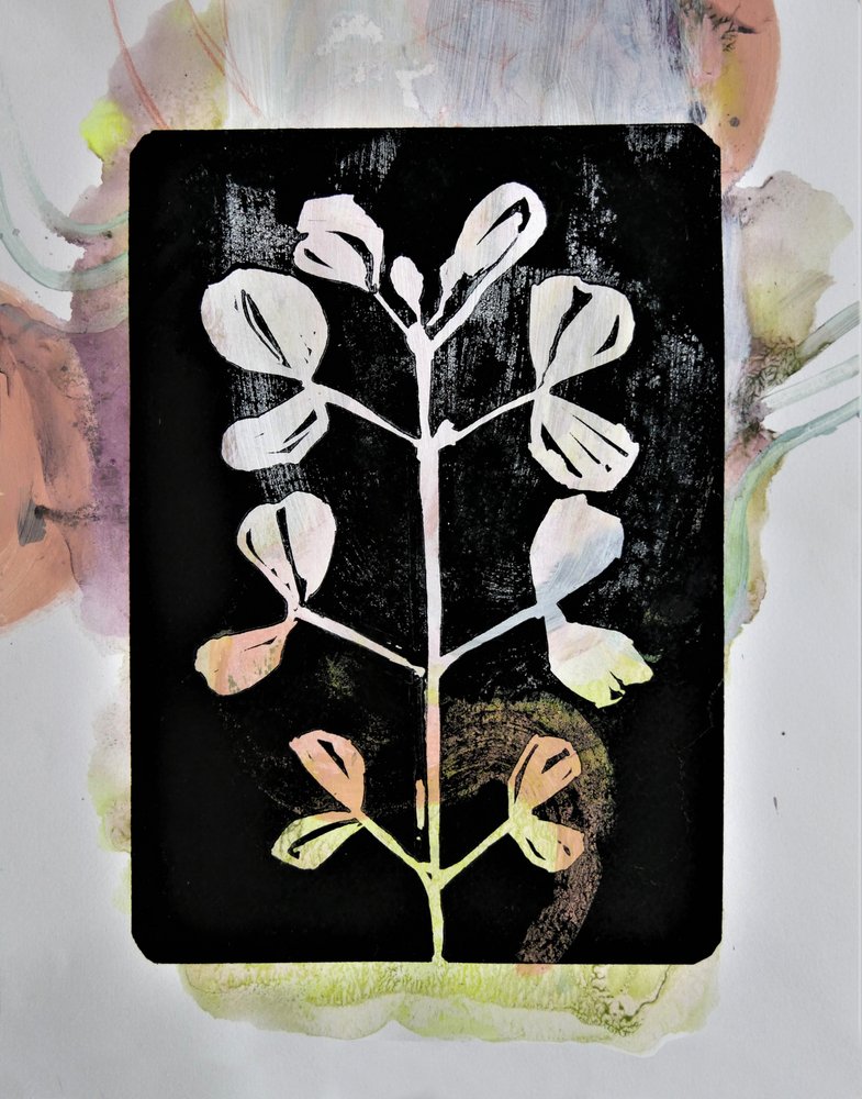 Pasteltegning af planter af Doris Schmitz