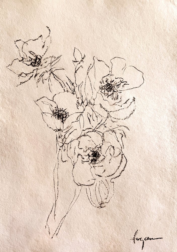 Delikat blomsterskitse af Dorothy Fagan