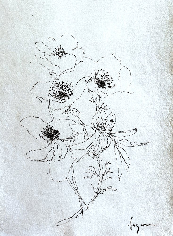 Delikat blomsterskitse af Dorothy Fagan