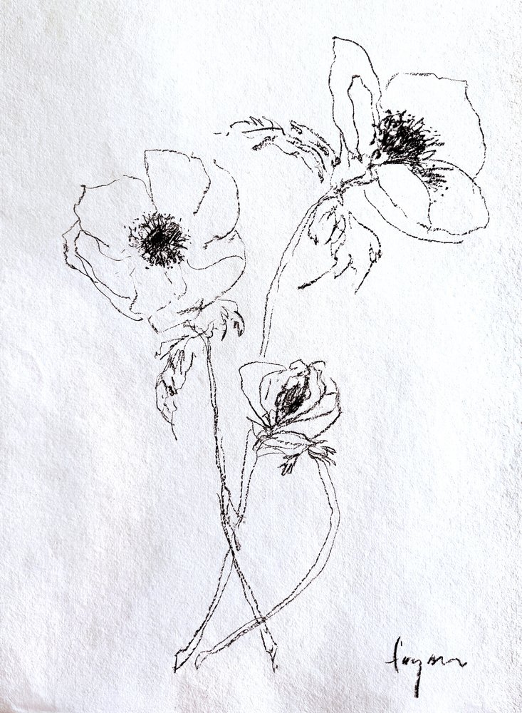 Skitse af en delikat blomst af Dorothy Fagan