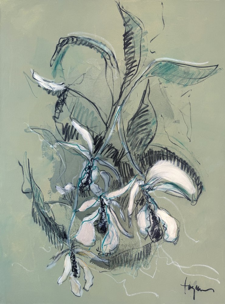 Elegant orkidé-skitse af Dorothy Fagan