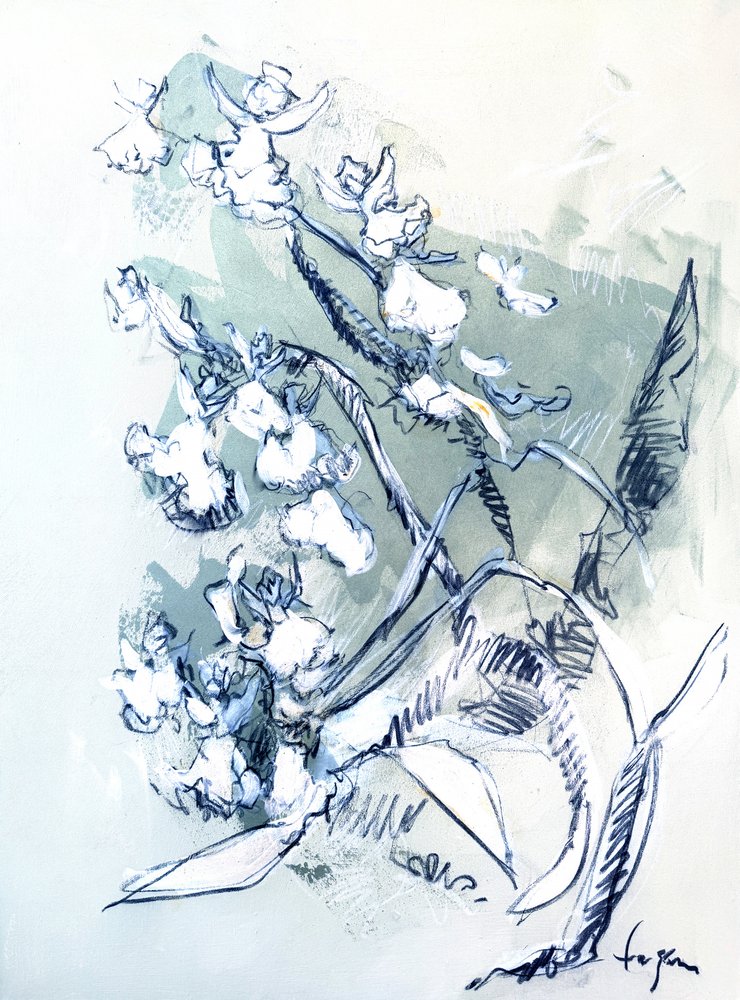Tegning af en hvid orkidé af Dorothy Fagan
