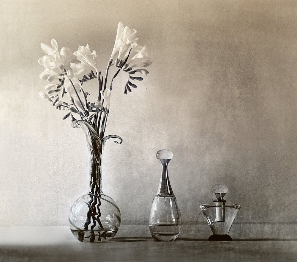 Elegante blomster og parfume af Elena Arjona