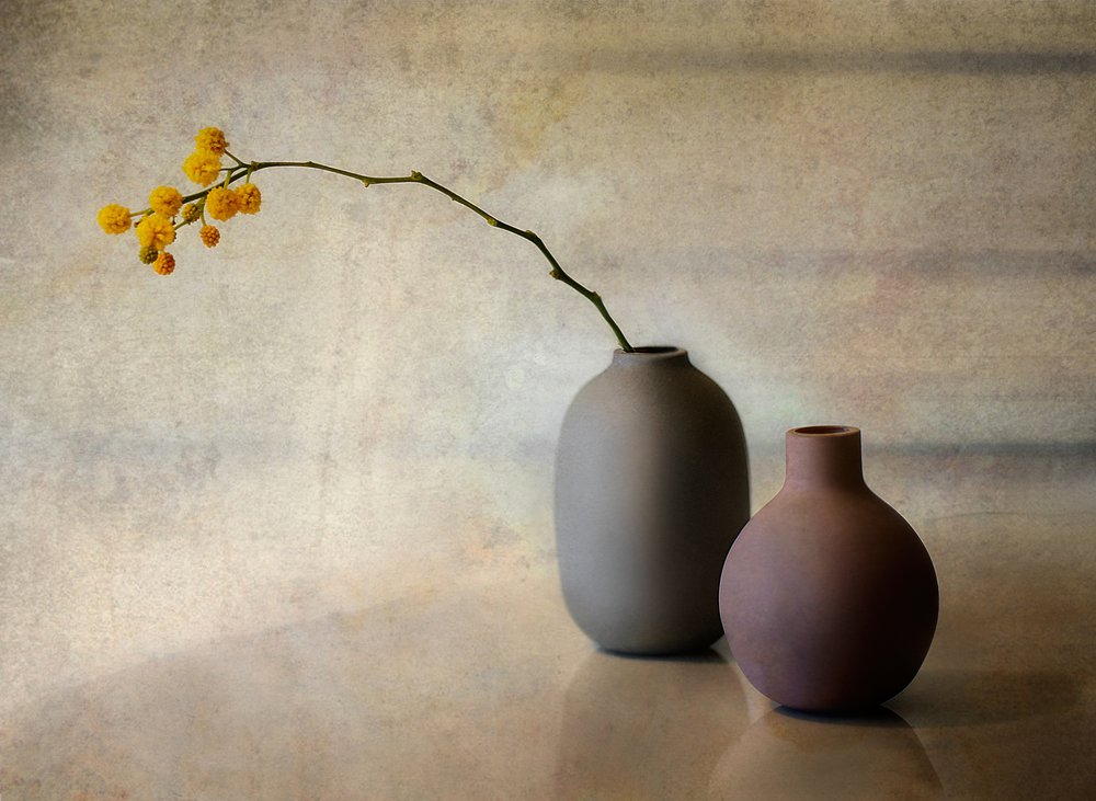 Minimalistiske blomstervaser af Elena Arjona