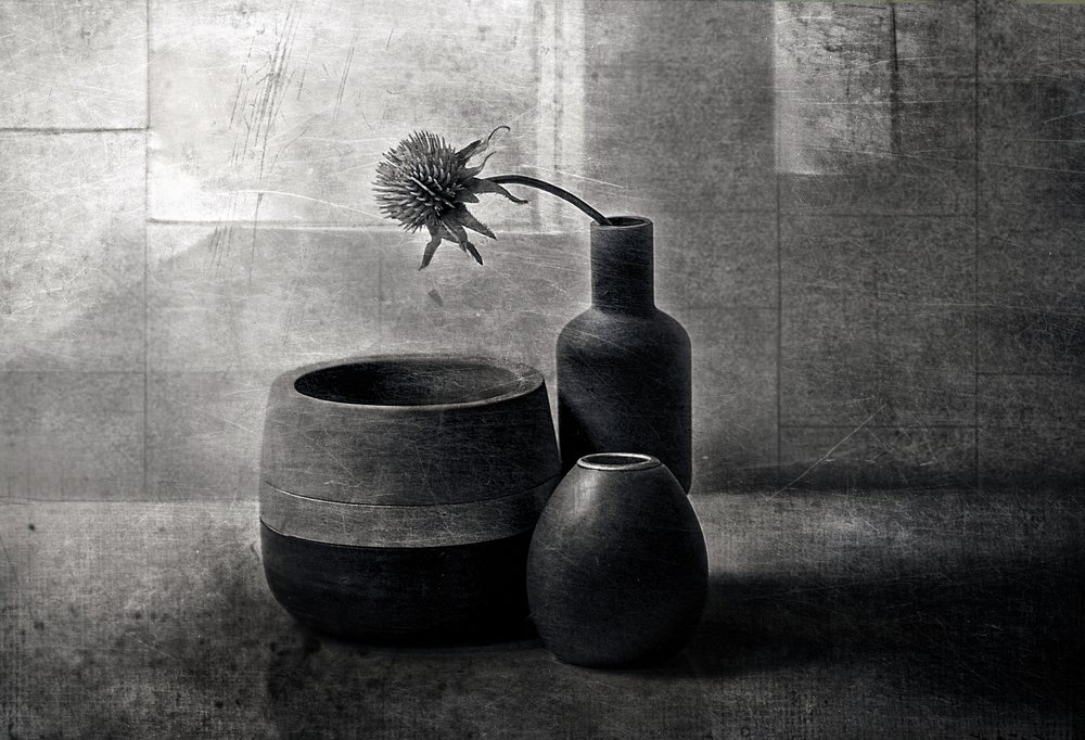 Moody Thistle-skibe af Elena Arjona
