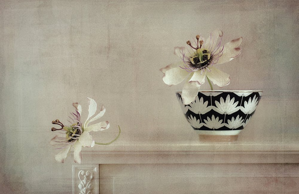 Stilleben med passionsblomst af Elena Arjona