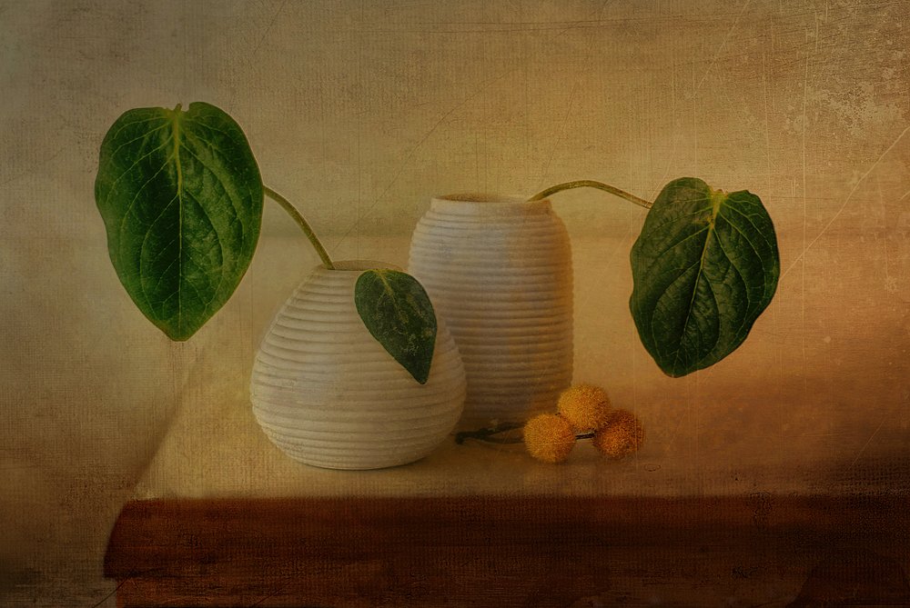 Stille botanisk arrangement af Elena Arjona