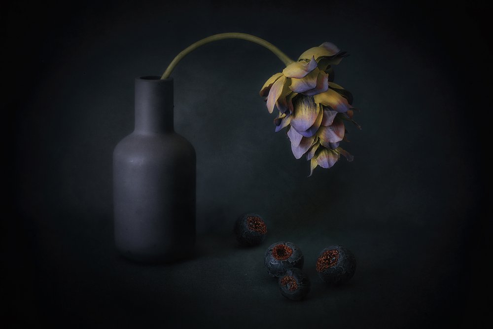 Skyggefulde blomster og bær af Elena Arjona