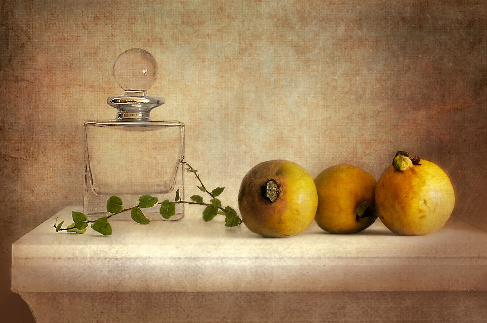 Vintage-stillbillede af guava af Elena Arjona