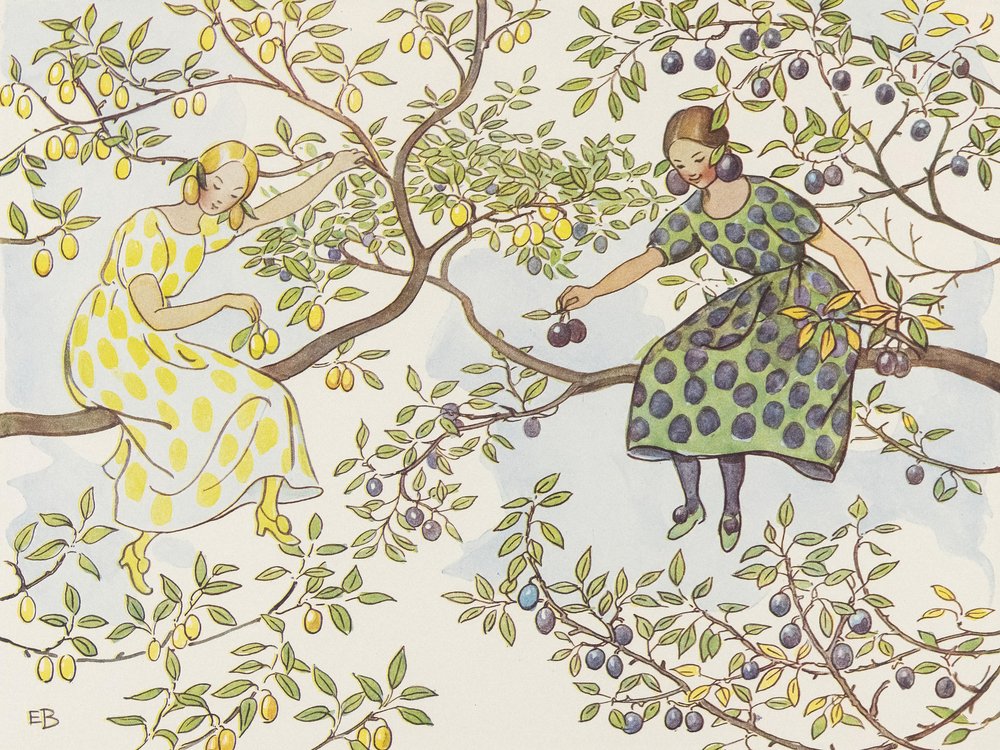 Frøknene Plommon af Elsa Beskow