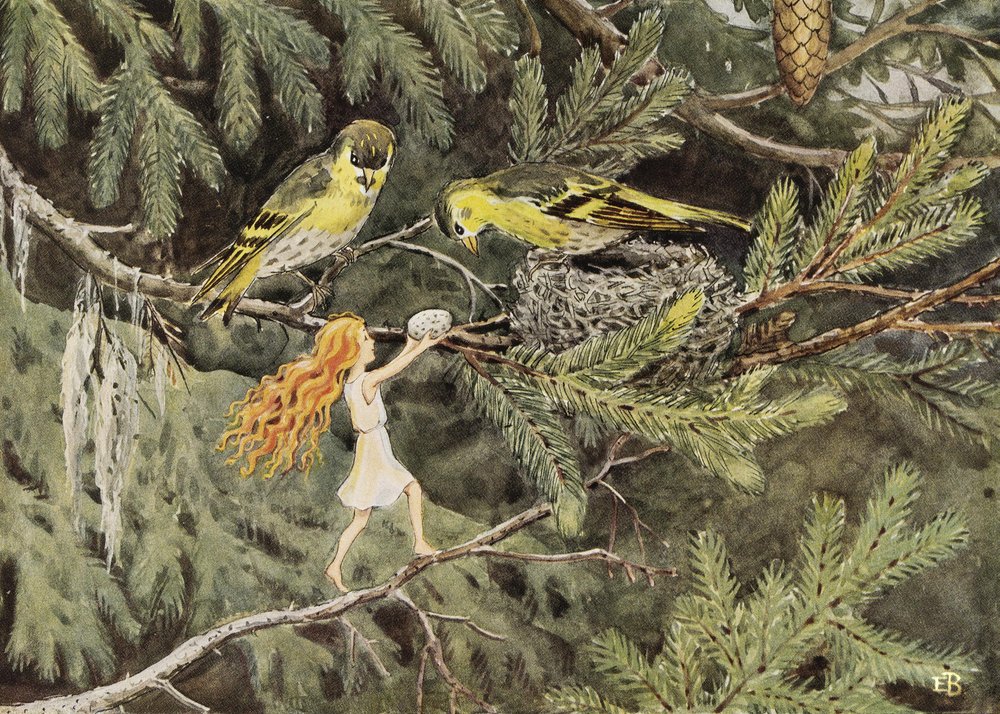 Solægget (1932) Fuglene af Elsa Beskow