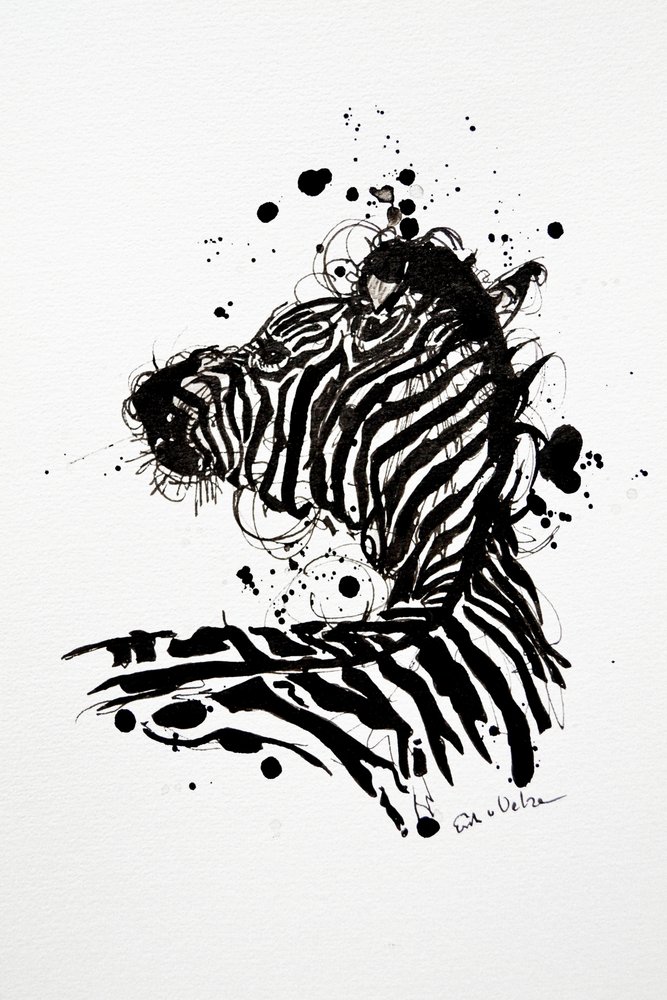 Vild zebra med blækstænk af Erik Van Velzen