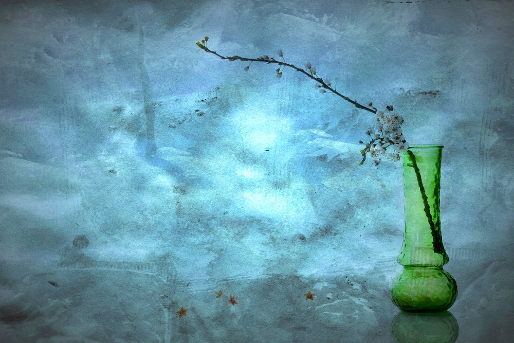 Stille blå blomster af Eyal Amer