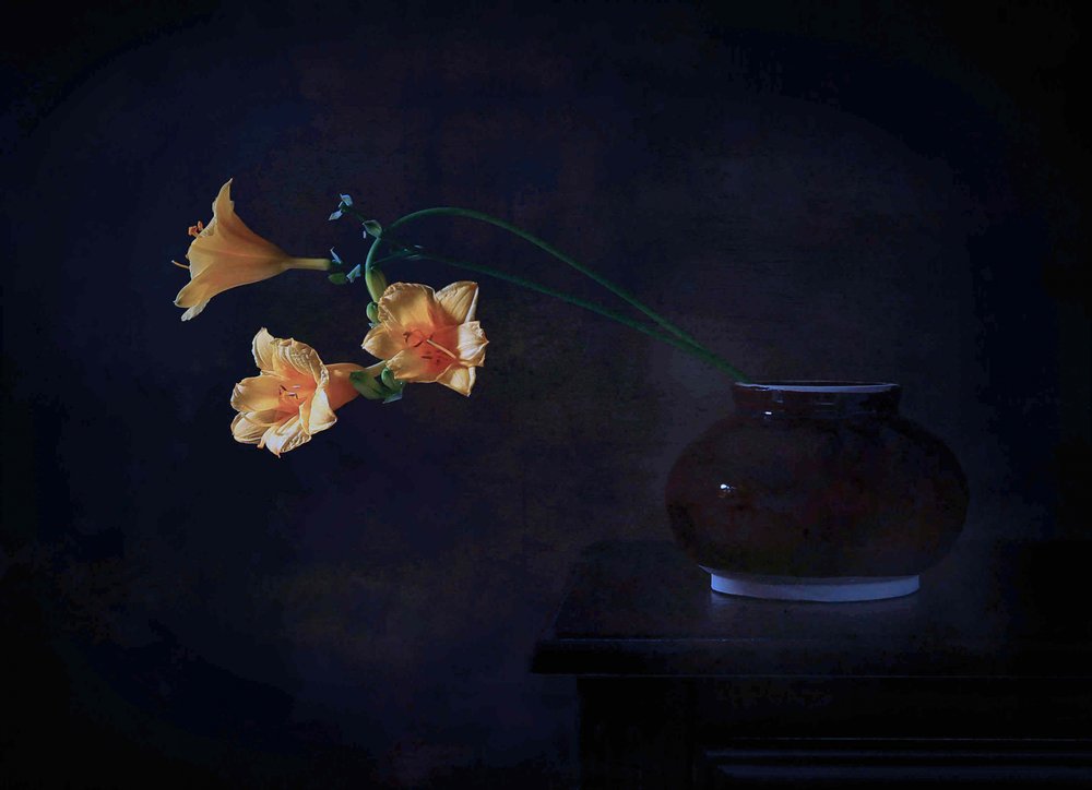 Mørk blomsterglød af Fangping Zhou
