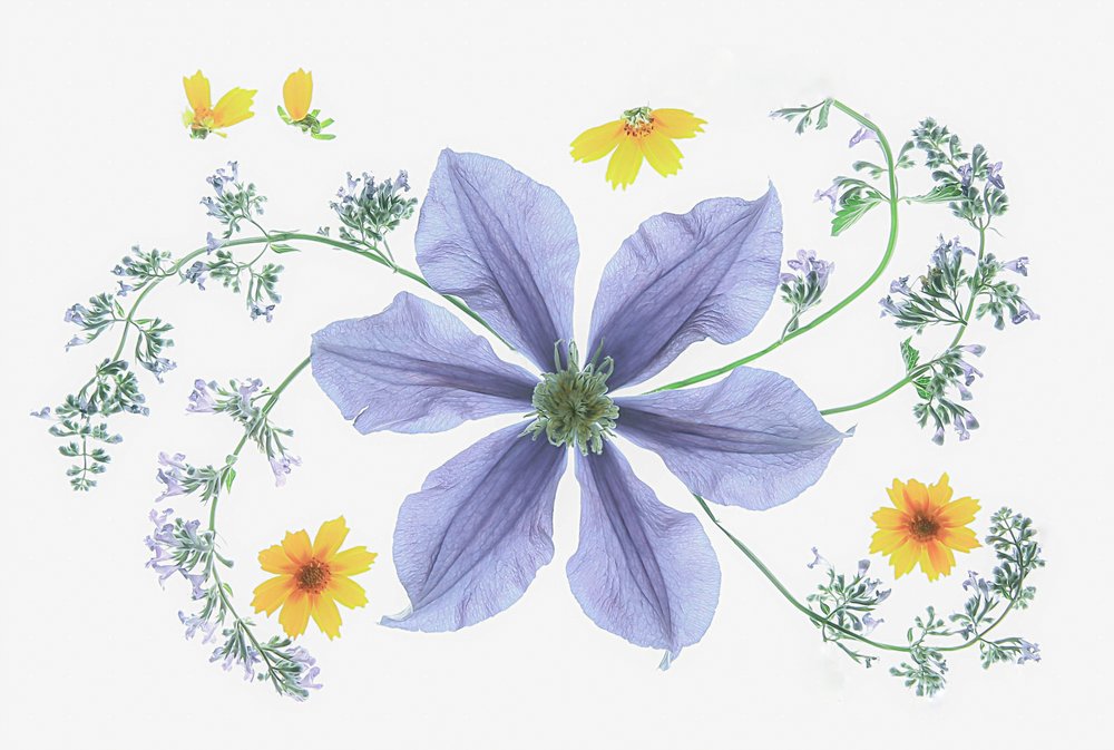 Frisk blomsterbuket af Fangping Zhou