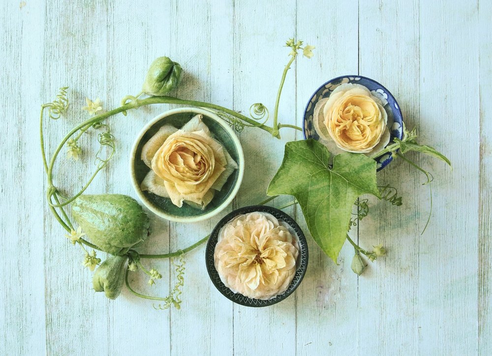 Pastelfarvede roser og kalebasser af Fangping Zhou