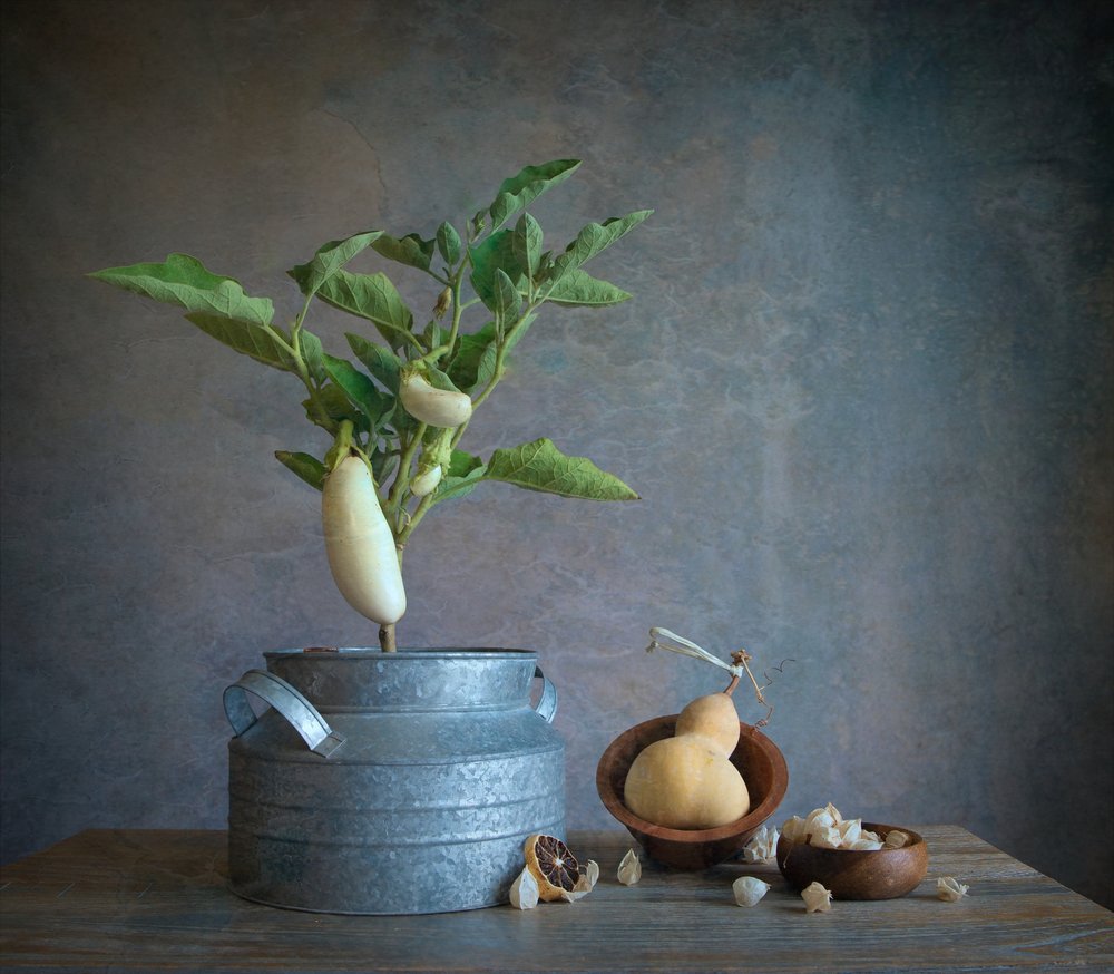 Stilleben med hvid aubergine af Fangping Zhou