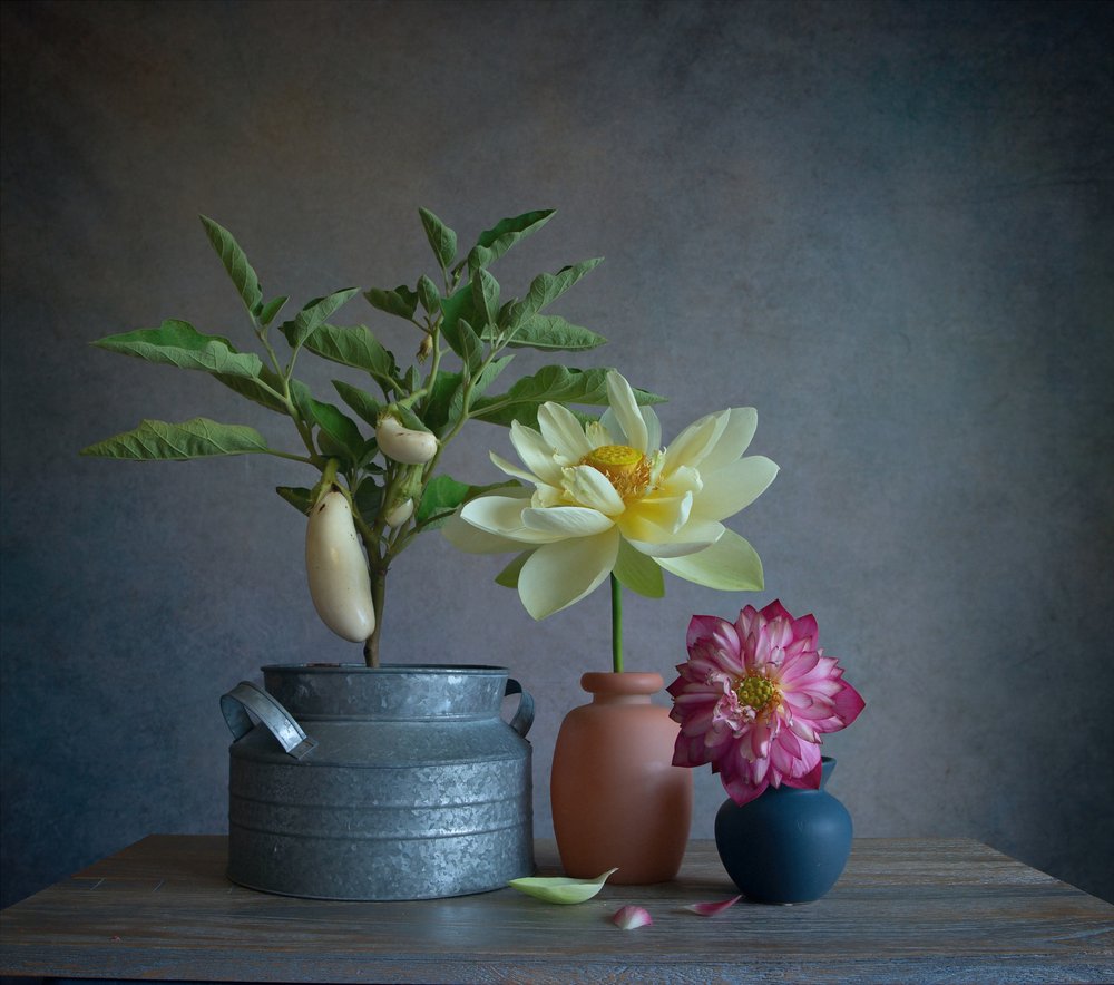 Hvide auberginer – Dahlia – Stilleben af Fangping Zhou