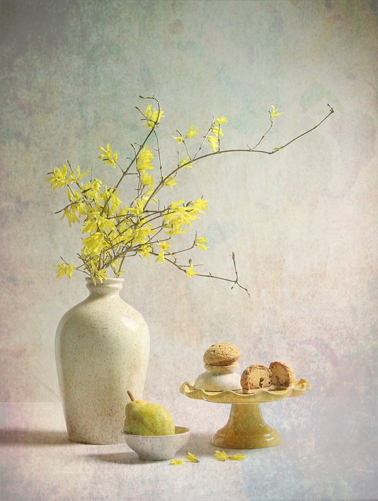 Den gule forsythia er en fryd for øjet af Fangping Zhou