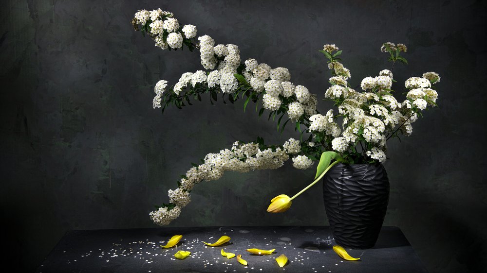 Elegant blomsterstilleben af Felice Angelino