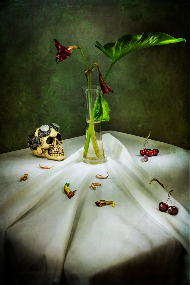 Gothic Skull Vanitas af Felice Angelino