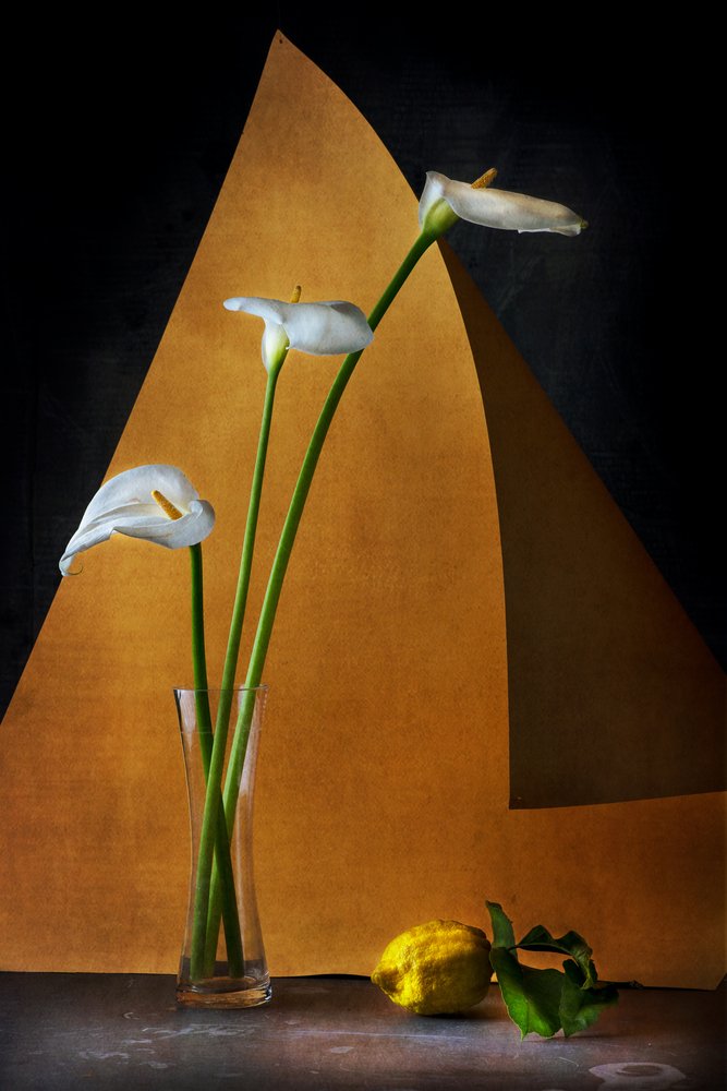  af Felice Angelino