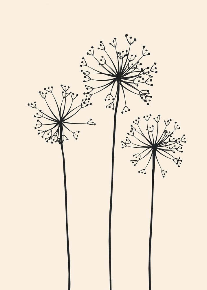 Minimalistiske mælkebøtteblomster af Flow Line
