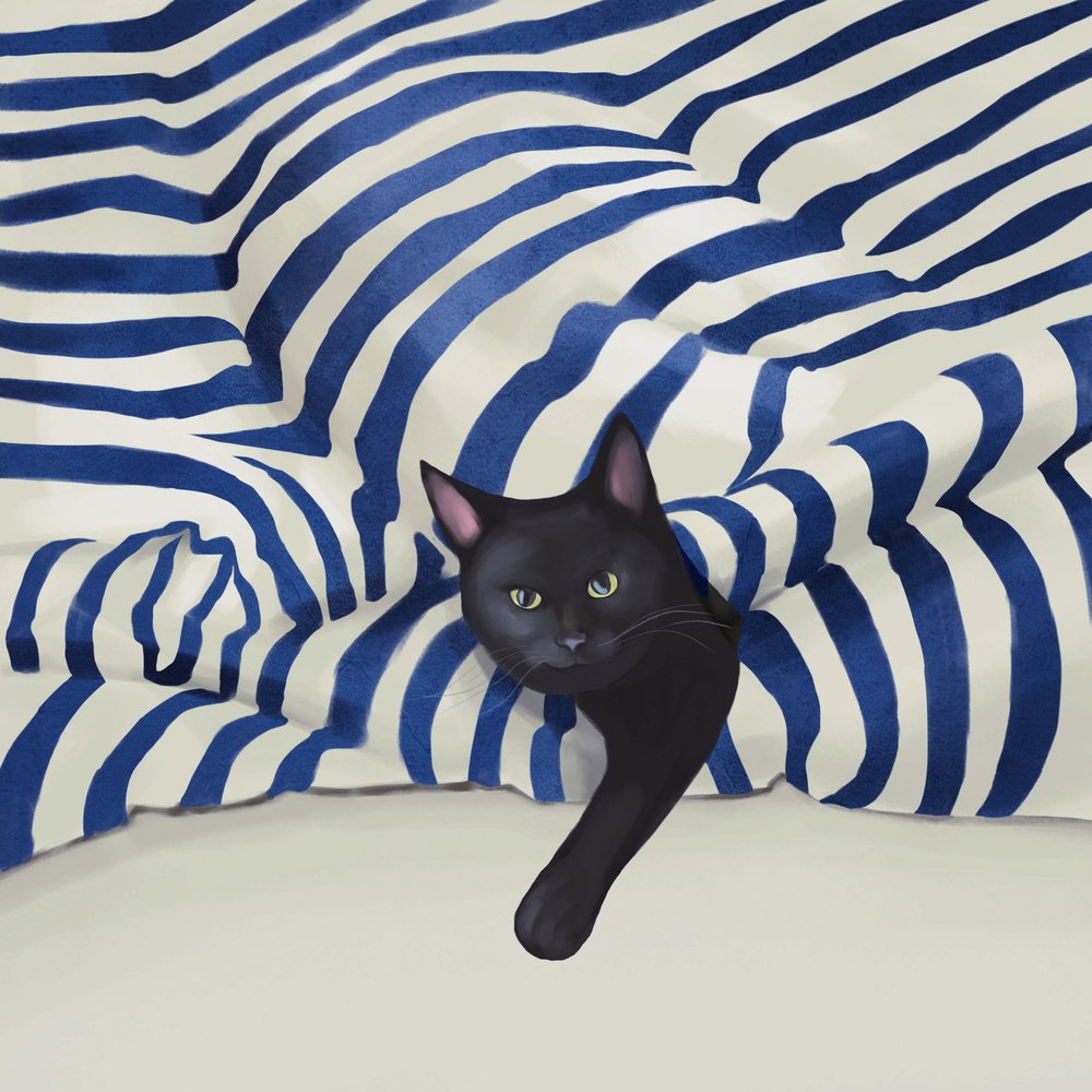 Den kiggende sorte kat af Flow Line