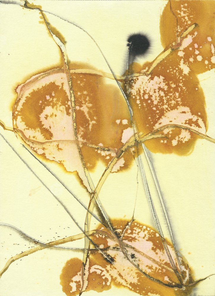 Økologiske Golden Washes af Frederic Belaubre