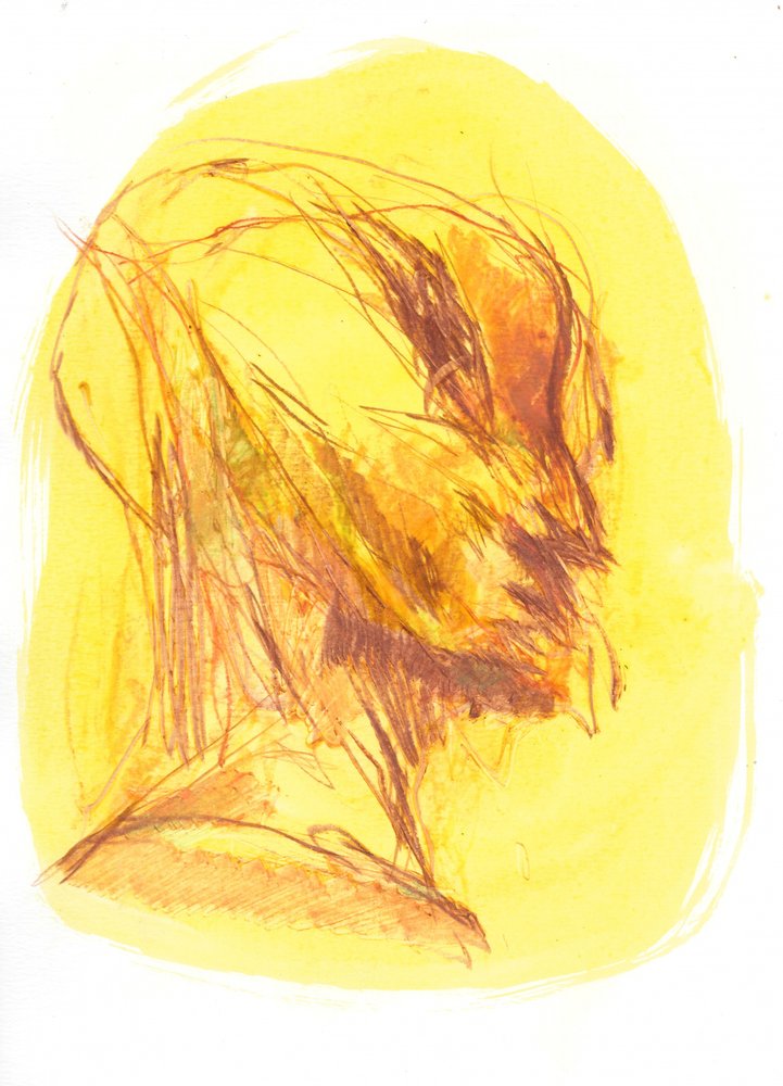 Portrættet 1 af Frederic Belaubre