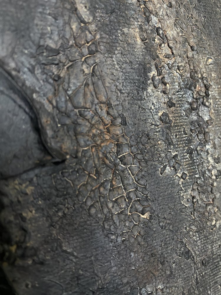  af Gabriela Aleksandra Szuba