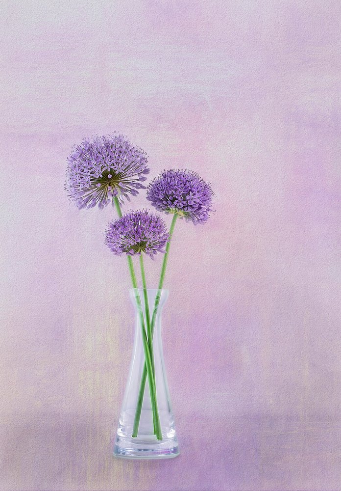  af Gaille Gray