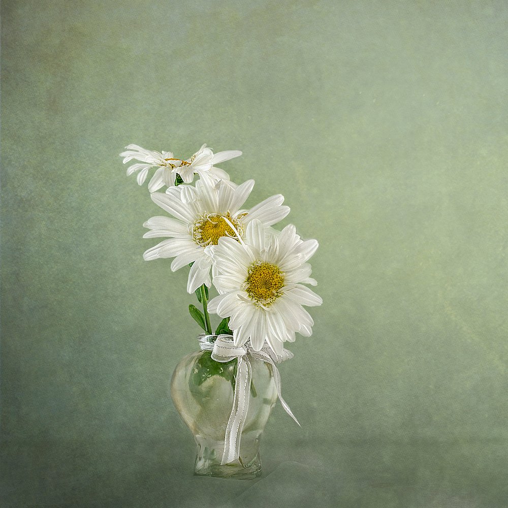  af Gaille Gray