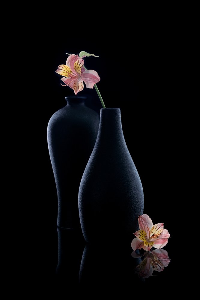 Elegant Alstroemeria i vaser af GaoSL