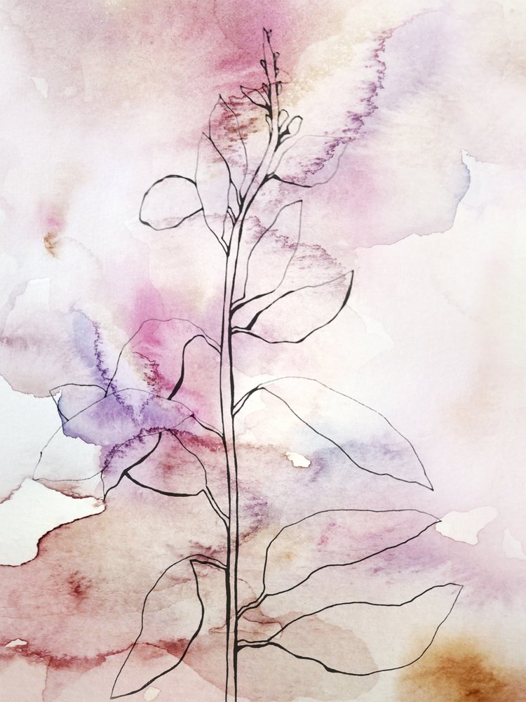 Rosa akvarel med botaniske motiver af Gemma Bardot