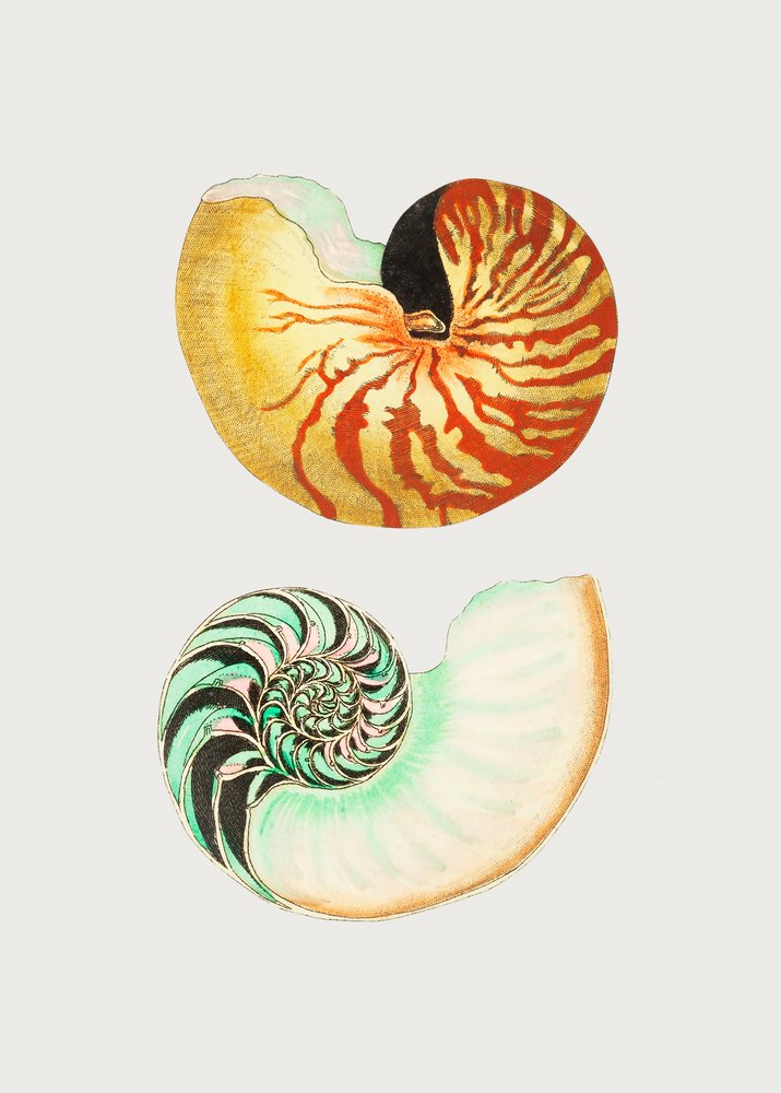  af George Shaw