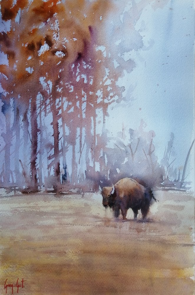 Bison i efterårståge af Giorgio Gosti