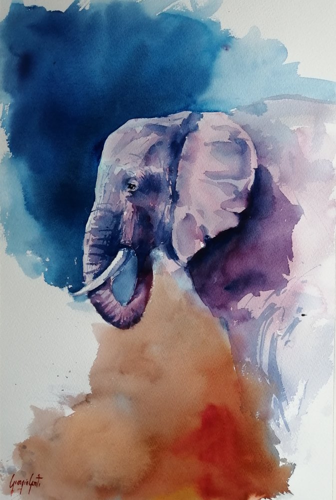 Elefant – Abstrakte farver af Giorgio Gosti