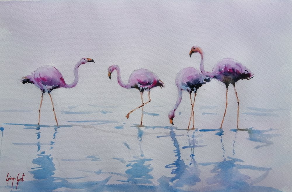 Rosa flamingoer i vandet af Giorgio Gosti