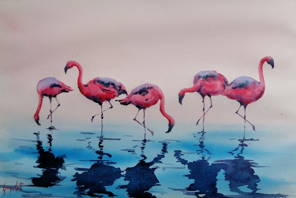 Vadefugle: Lyserøde flamingoer af Giorgio Gosti