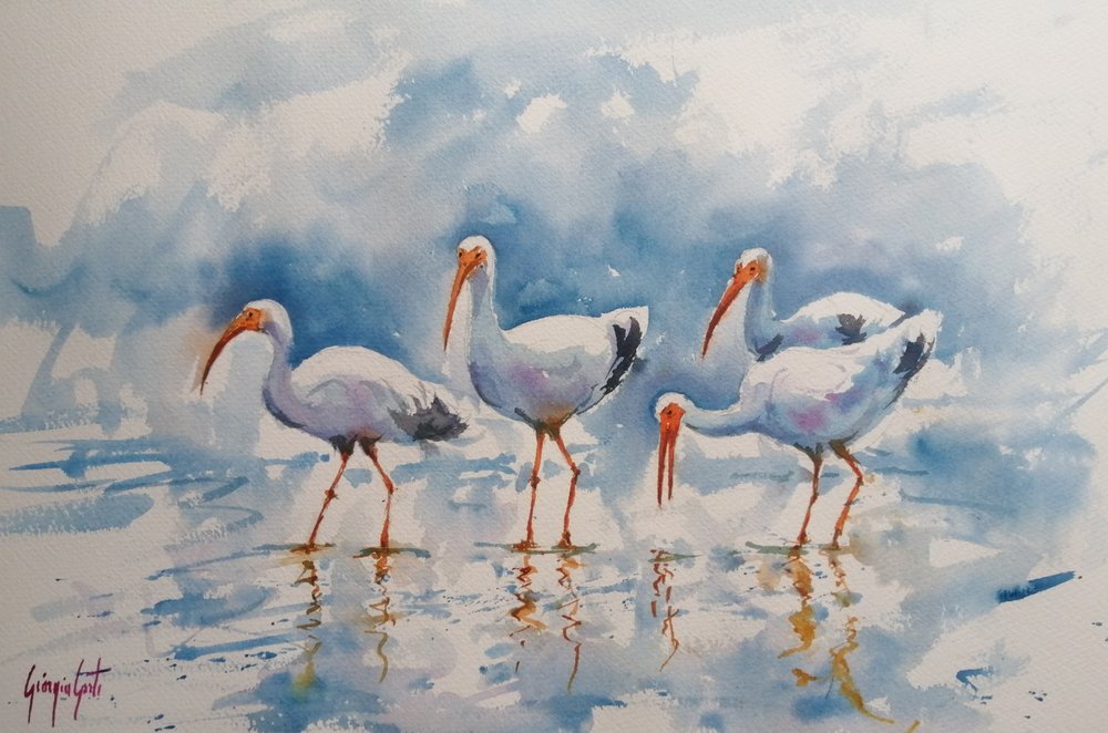Refleksioner om den hvide ibis af Giorgio Gosti