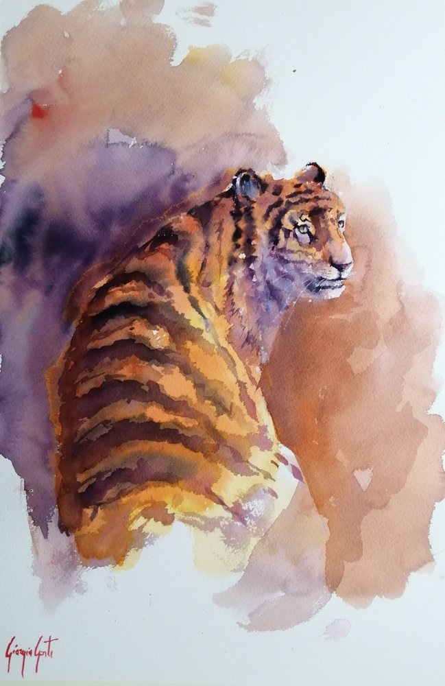 tiger 6 af Giorgio Gosti