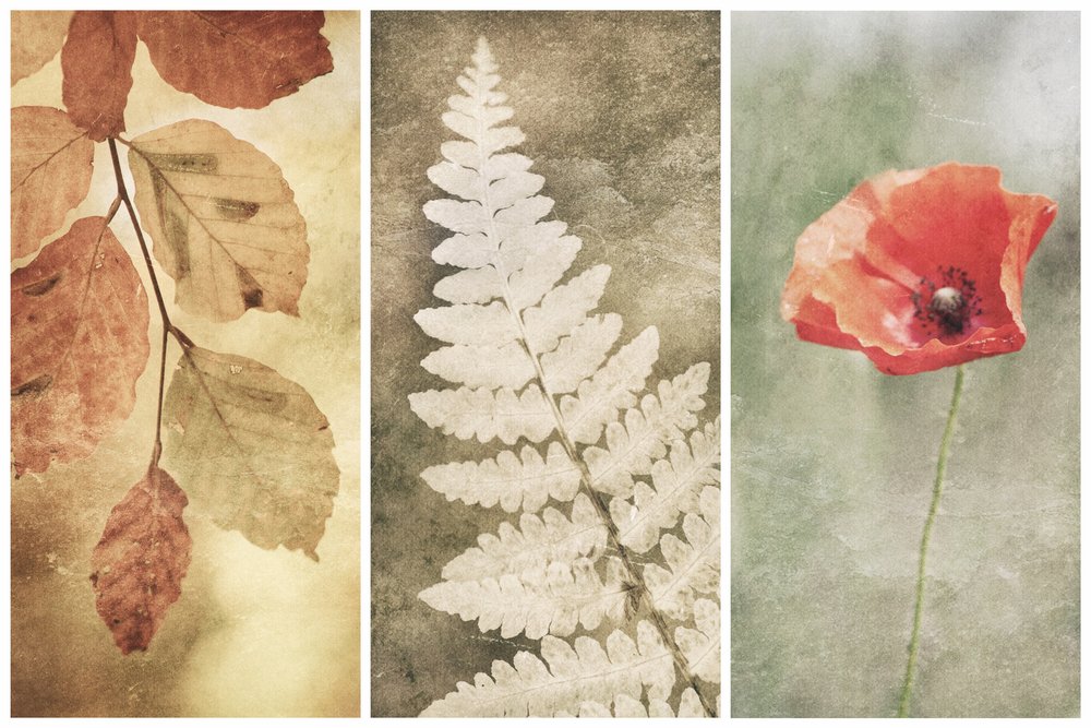 Vintage Nature Trio af Gustav Davidsson