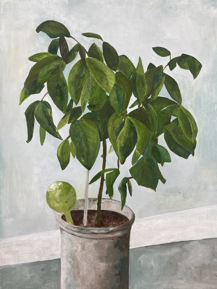 Stilleben med potteplante af Heléne Sikdal