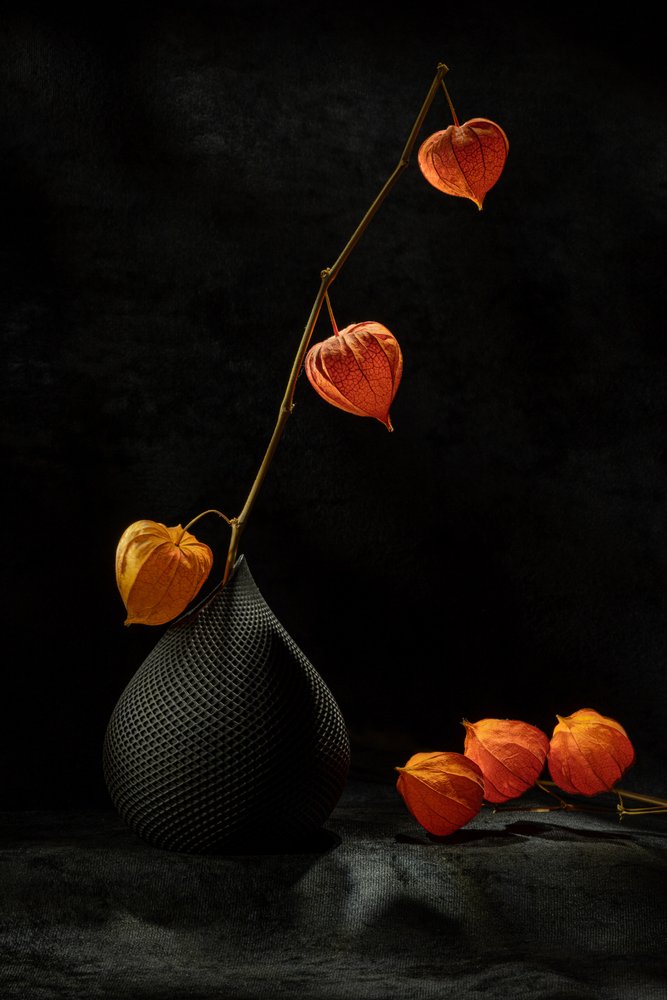 Stilleben med physalis af Igor Kopcev
