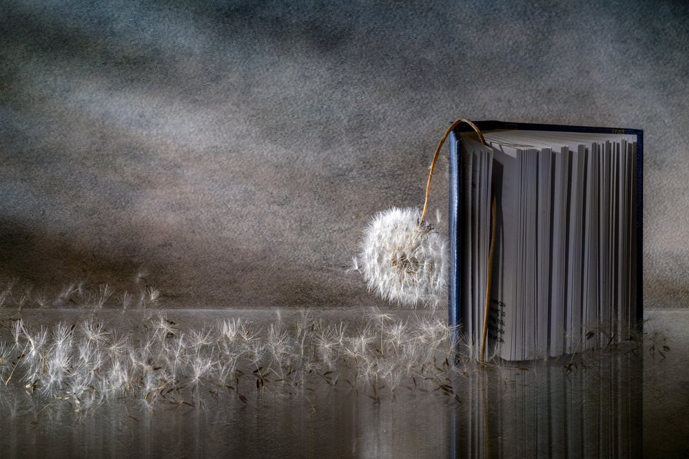 Mælkebog-refleksion af Igor Kopcev